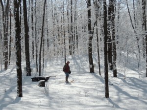 Beautiful morning in the woods!