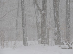 April snowstorm