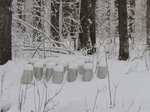 End of season snow on the pails