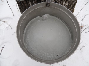 Ice filled pails.