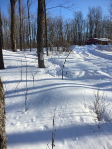 The 2018 season begins with lots of snow on the ground.