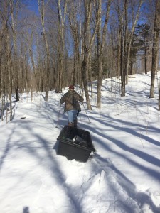 Towing the Otter sled through the deep snow.