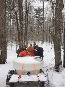 Dan and Mike dumping sap, Jimmy driving, and Bob heading to the next group of pails.