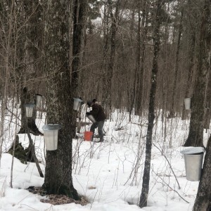 Mike trying to beat the ice out of the pails. Quite the work out!