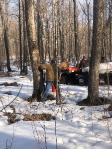 Dan collecting, Bill driving, Jimmy and I dumping our pails.