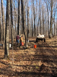 Our final collection of the season. From left, me, Dan, and Bill driving.