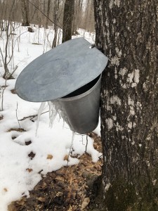 Overflowing pails creating icicles.