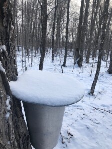 Snow on the lids this morning!