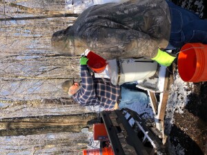 Jimmy and I dumping out sap.