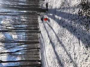 Our beautiful snow covered Sugarbush.