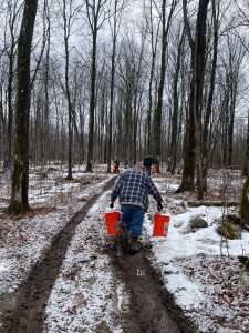 Jimmy with a load of sap.