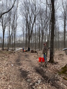 Bob waiting to dump his sap.